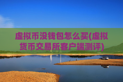 虚拟币没钱包怎么买(虚拟货币交易所客户端测评)