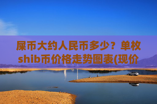 屎币大约人民币多少？单枚shib币价格走势图表(现价0.00022187元)
