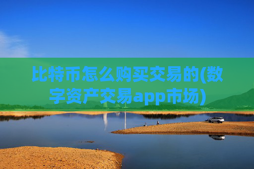 比特币怎么购买交易的(数字资产交易app市场)