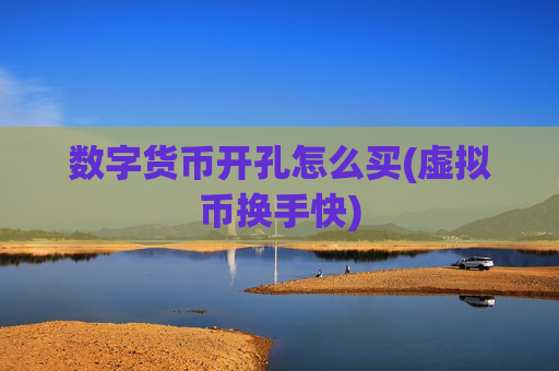 数字货币开孔怎么买(虚拟币换手快)