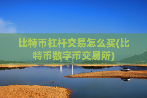 比特币杠杆交易怎么买(比特币数字币交易所)