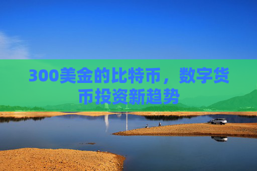 300美金的比特币,数字货币投资新趋势