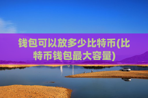 钱包可以放多少比特币(比特币钱包最大容量)