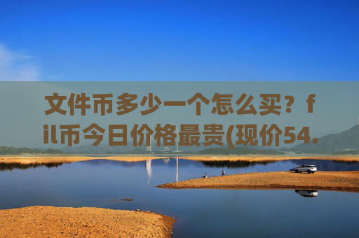文件币多少一个怎么买?fil币今日价格最贵(现价54.6194元)