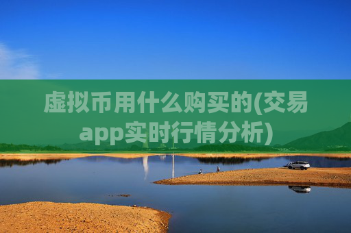 虚拟币用什么购买的(交易app实时行情分析)