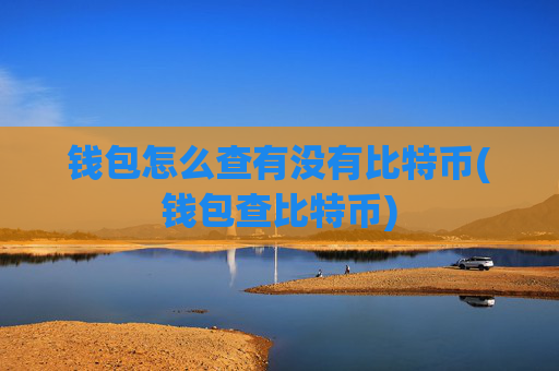 钱包怎么查有没有比特币(钱包查比特币)