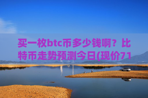 买一枚btc币多少钱啊?比特币走势预测今日(现价717201.46元)