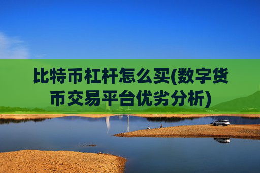 比特币杠杆怎么买(数字货币交易平台优劣分析)