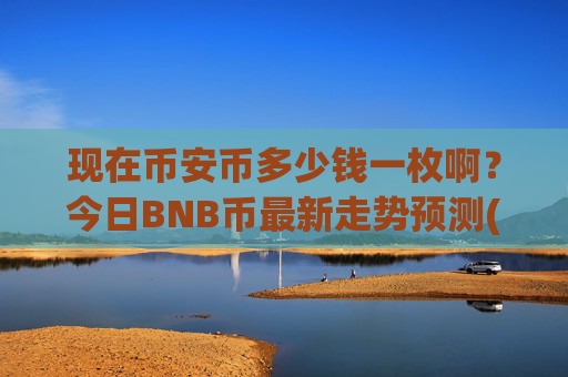 现在币安币多少钱一枚啊?今日BNB币最新走势预测(现价4869.7元)