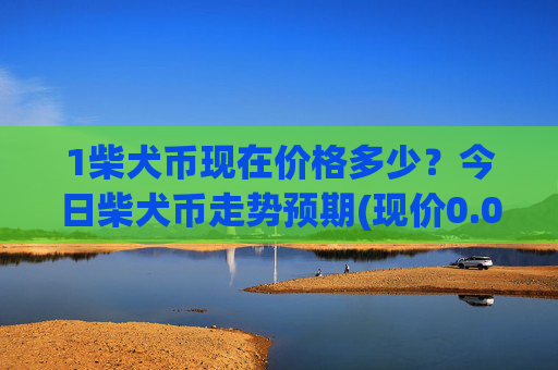 1柴犬币现在价格多少?今日柴犬币走势预期(现价0.00022659元)