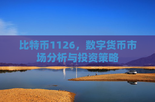 比特币1126,数字货币市场分析与投资策略