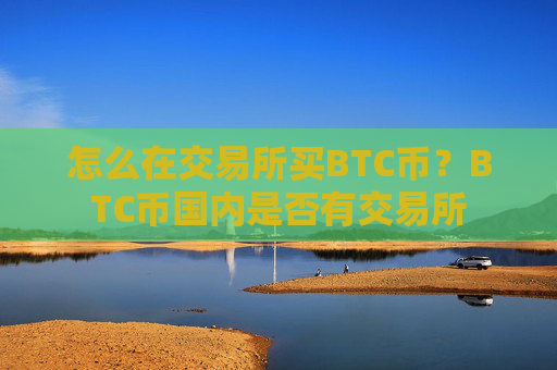 怎么在交易所买BTC币?BTC币国内是否有交易所