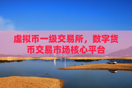 虚拟币一级交易所,数字货币交易市场核心平台