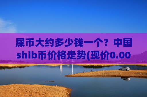 屎币大约多少钱一个?中国shib币价格走势(现价0.00021679元)