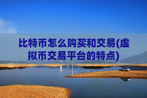 比特币怎么购买和交易(虚拟币交易平台的特点)
