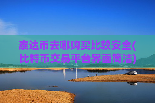 泰达币去哪购买比较安全(比特币交易平台界面简洁)