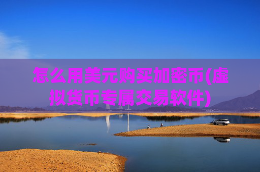 怎么用美元购买加密币(虚拟货币专属交易软件)