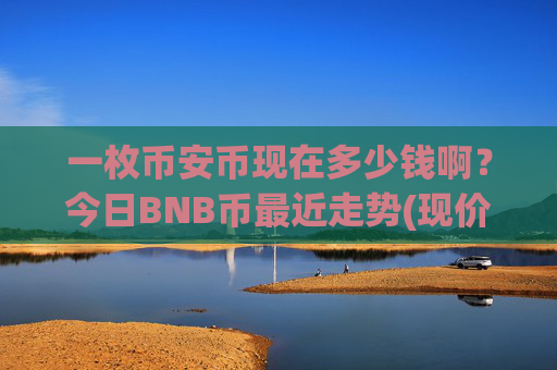 一枚币安币现在多少钱啊?今日BNB币最近走势(现价5201.03元)