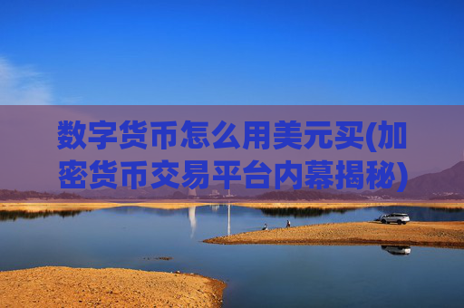 数字货币怎么用美元买(加密货币交易平台内幕揭秘)