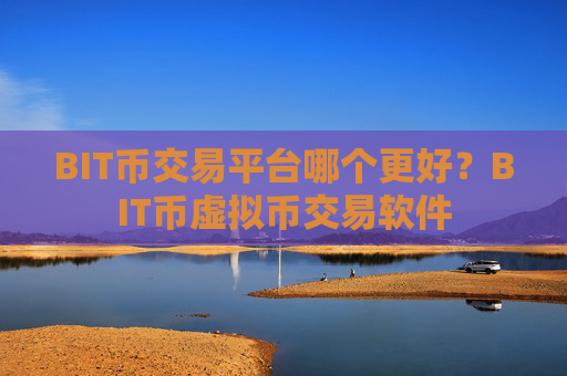 BIT币交易平台哪个更好?BIT币虚拟币交易软件