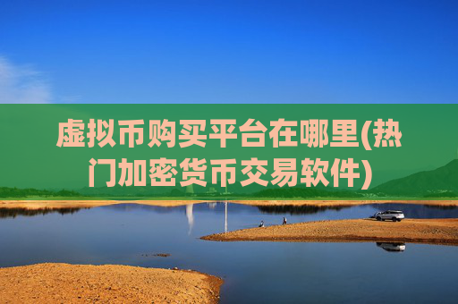 虚拟币购买平台在哪里(热门加密货币交易软件)