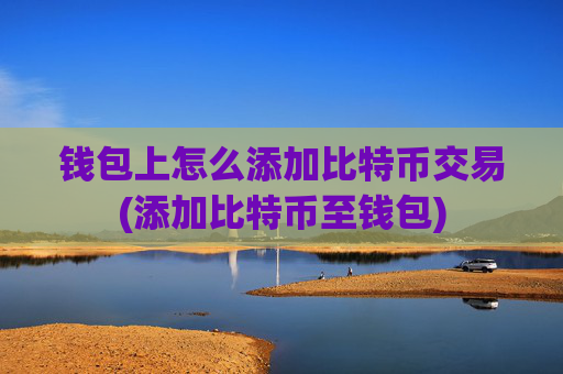 钱包上怎么添加比特币交易(添加比特币至钱包)