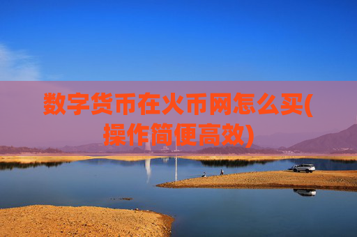 数字货币在火币网怎么买(操作简便高效)