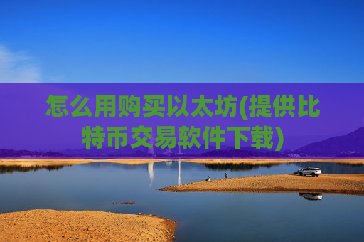 怎么用购买以太坊(提供比特币交易软件下载)