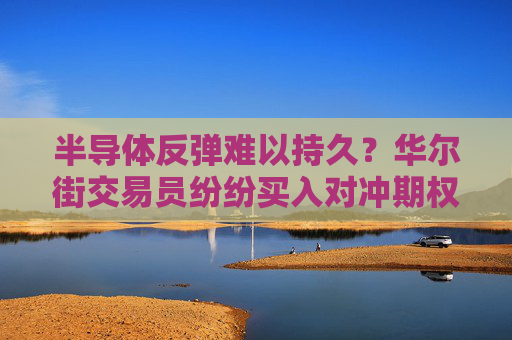 半导体反弹难以持久?华尔街交易员纷纷买入对冲期权