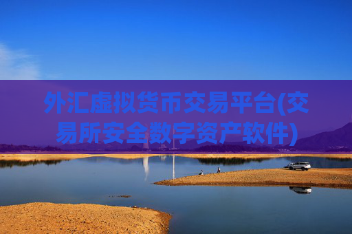 外汇虚拟货币交易平台(交易所安全数字资产软件)