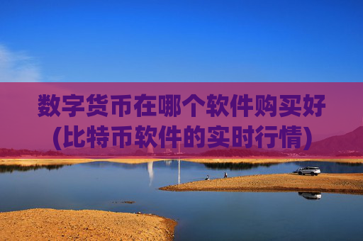 数字货币在哪个软件购买好(比特币软件的实时行情)