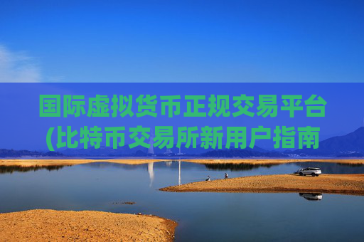 国际虚拟货币正规交易平台(比特币交易所新用户指南)