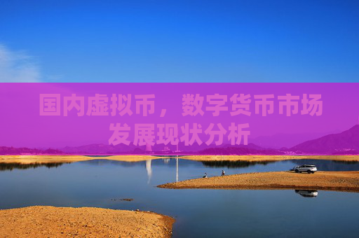 国内虚拟币,数字货币市场发展现状分析
