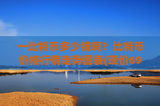 一比特币多少钱啊?比特币价格行情走势图表(现价693051.96元)