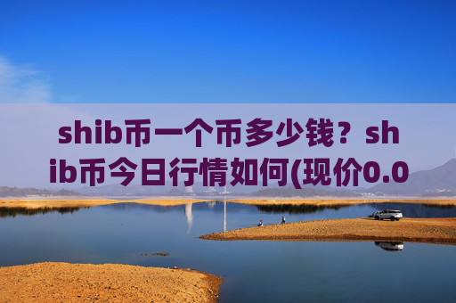 shib币一个币多少钱?shib币今日行情如何(现价0.00022216元)