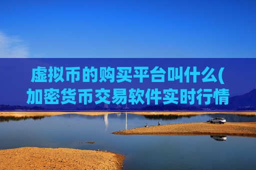 虚拟币的购买平台叫什么(加密货币交易软件实时行情分析)