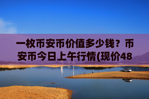 一枚币安币价值多少钱?币安币今日上午行情(现价4806.5元)