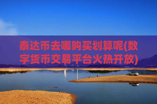 泰达币去哪购买划算呢(数字货币交易平台火热开放)
