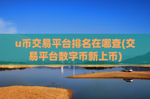 u币交易平台排名在哪查(交易平台数字币新上币)