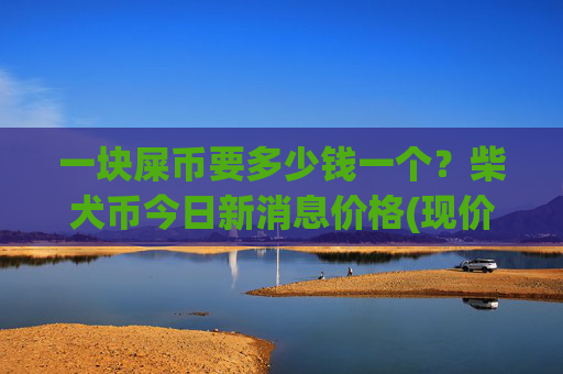 一块屎币要多少钱一个？柴犬币今日新消息价格(现价0.00021977元)