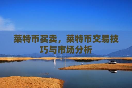 莱特币买卖，莱特币交易技巧与市场分析