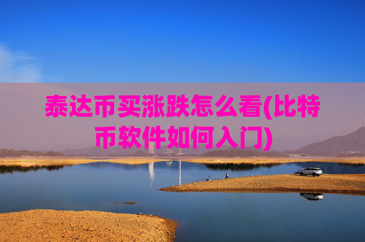 泰达币买涨跌怎么看(比特币软件如何入门)