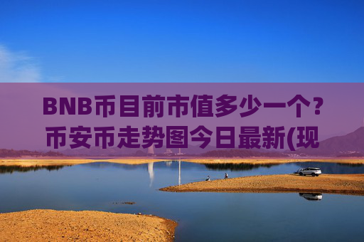 BNB币目前市值多少一个?币安币走势图今日最新(现价5168.82元)