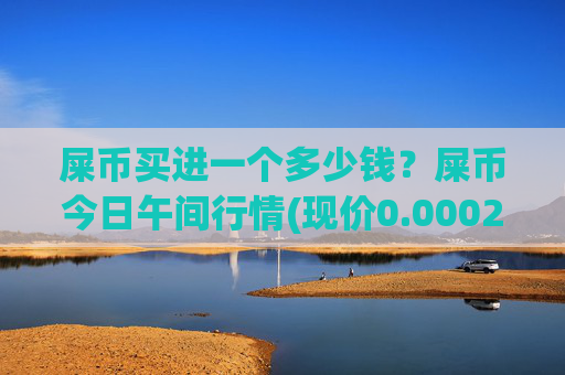 屎币买进一个多少钱?屎币今日午间行情(现价0.00022456元)