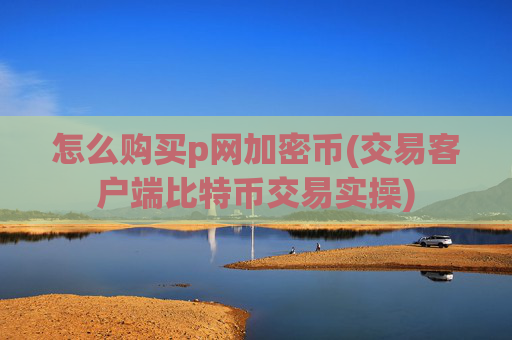 怎么购买p网加密币(交易客户端比特币交易实操)
