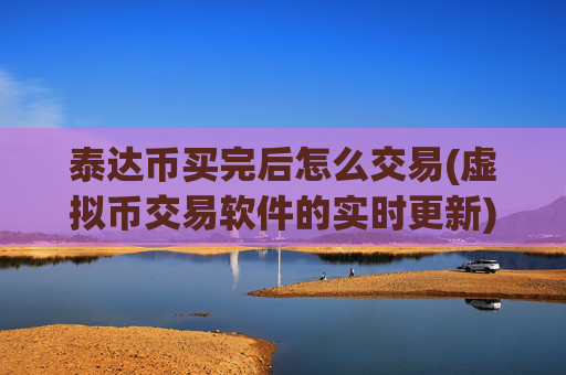 泰达币买完后怎么交易(虚拟币交易软件的实时更新)