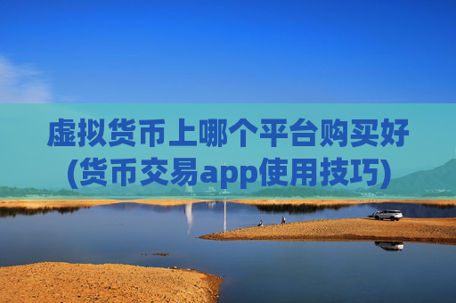 虚拟货币上哪个平台购买好(货币交易app使用技巧)