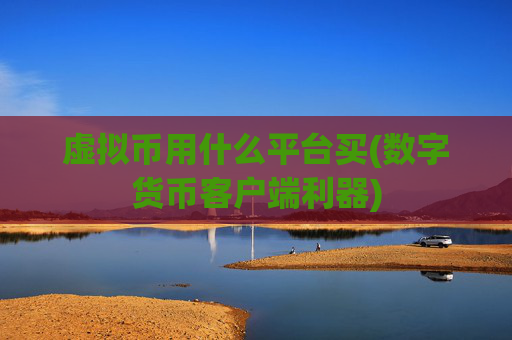 虚拟币用什么平台买(数字货币客户端利器)
