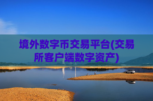 境外数字币交易平台(交易所客户端数字资产)