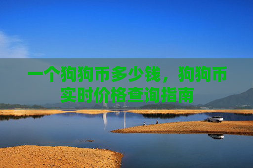 一个狗狗币多少钱,狗狗币实时价格查询指南